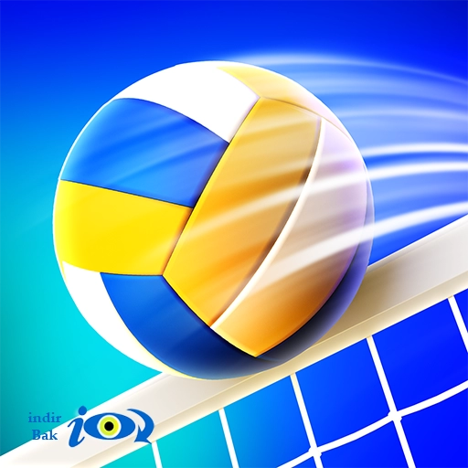 Volleyball Arena