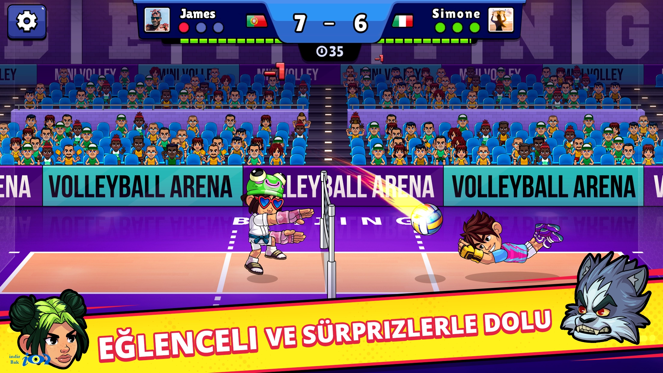 Volleyball Arena