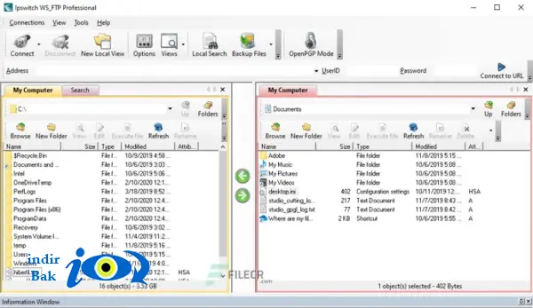 WS_FTP Professional