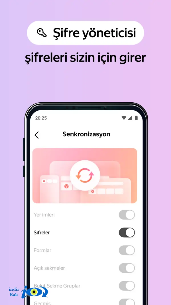 Yandex.Browser
